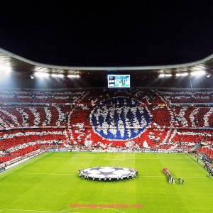 瓜子直播-聚焦焦点：世俱杯球迷助威主题活动年度盘点